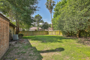 Back yard