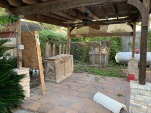 backyard
