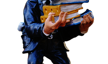 Property Tax Consultant