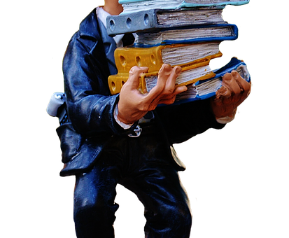 Property Tax Consultant