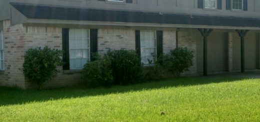 Rental House 33