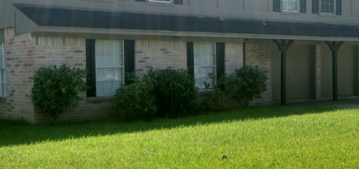 Rental House 33
