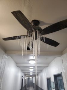 frozen fan