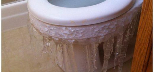 frozen toilet