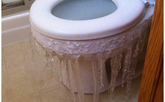 frozen toilet